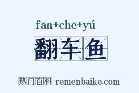 翻车鱼是什么意思的图片